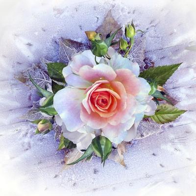 Giclee Print, , small