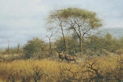 Giclee Print, , small