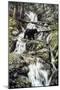 Bear Creek Crossing-Jeff Tift-Mounted Giclee Print