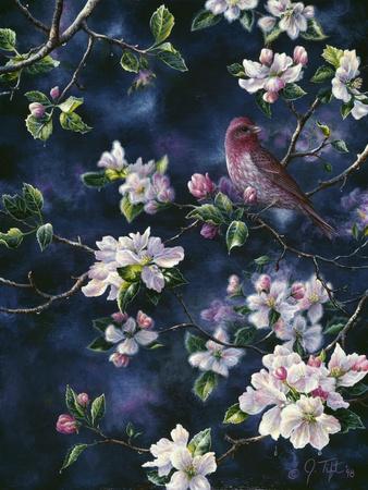 Giclee Print, , small
