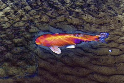 Giclee Print, , small