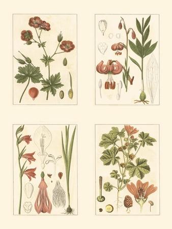Art Print, , small