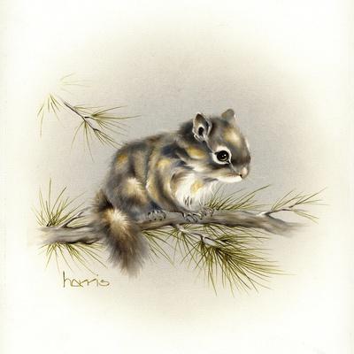 Giclee Print, , small