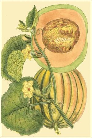 Art Print, , small