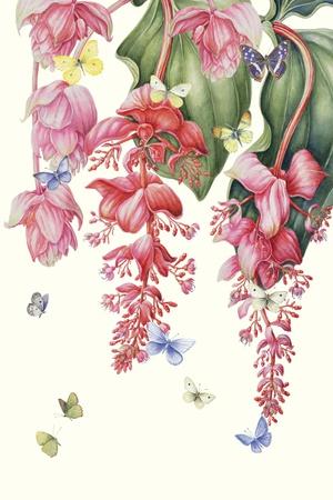 Giclee Print, , small