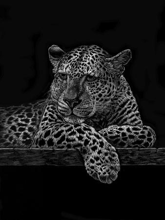 Giclee Print, , small