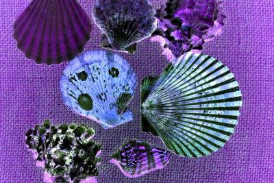 Giclee Print, , small