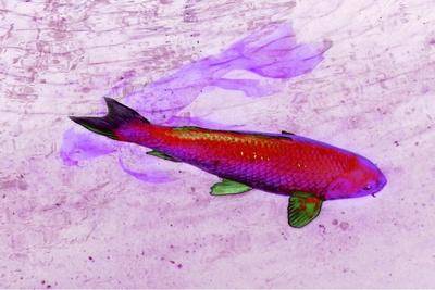 Giclee Print, , small