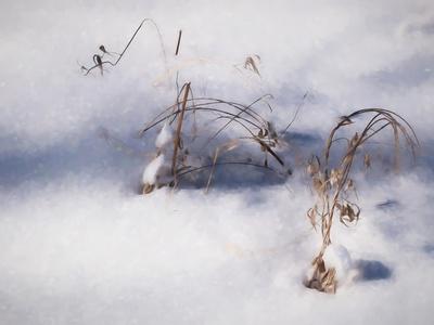 Giclee Print, , small