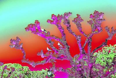 Giclee Print, , small