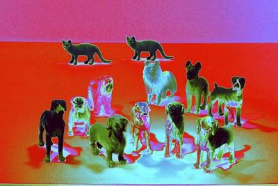 Giclee Print, , small