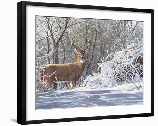 Winter Whitetail-Bruce Miller-Framed Giclee Print