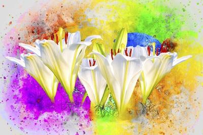Giclee Print, , small