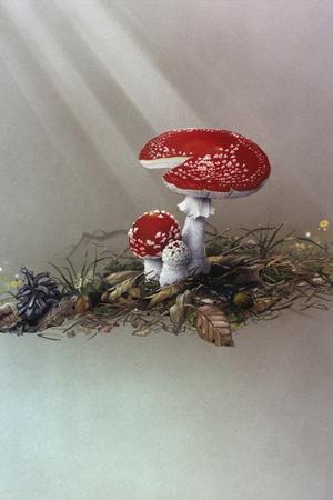 Giclee Print, , small