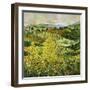 Yellow Trees-Allan P. Friedlander-Framed Art Print