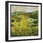 Yellow Trees-Allan P. Friedlander-Framed Art Print