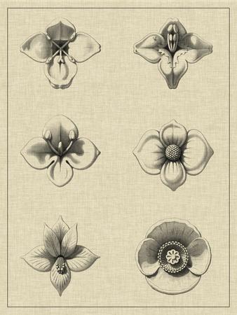 Art Print, , small