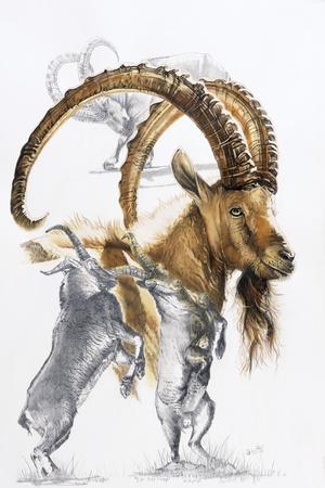 Giclee Print, , small