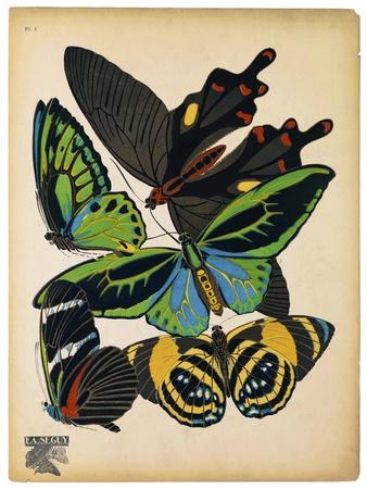 Giclee Print, , small
