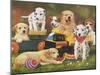 Puppy Play Group-William Vanderdasson-Mounted Giclee Print