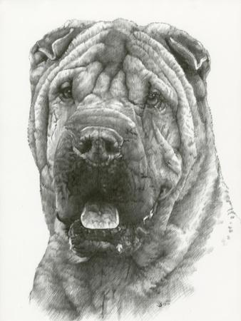 Giclee Print, , small