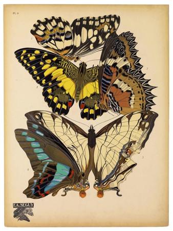 Giclee Print, , small