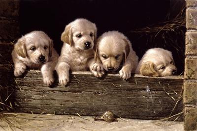 Giclee Print, , small