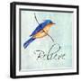 Bird Inspiration III-Irina Trzaskos Studio-Framed Giclee Print