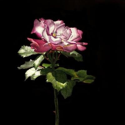Giclee Print, , small