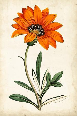 Art Print, , small