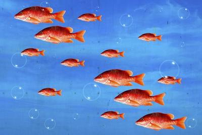 Giclee Print, , small