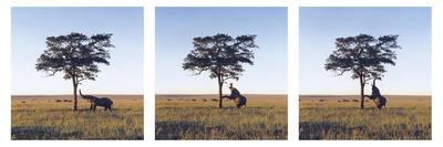 Giclee Print, , small