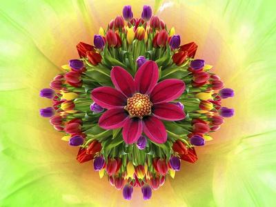Giclee Print, , small