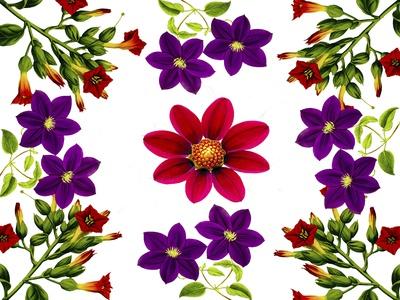 Giclee Print, , small