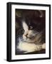 Precious Moment-Jenny Newland-Framed Giclee Print