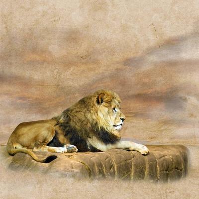 Giclee Print, , small