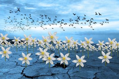 Giclee Print, , small