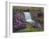 Spring Has Sprung-Bruce Dumas-Framed Giclee Print