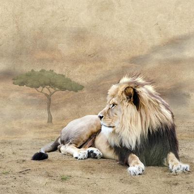 Giclee Print, , small