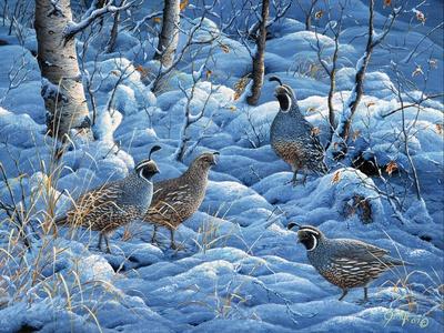 Giclee Print, , small