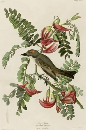 Giclee Print, , small