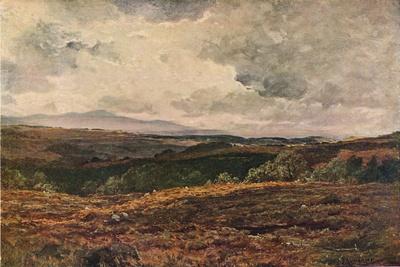 Giclee Print, , small