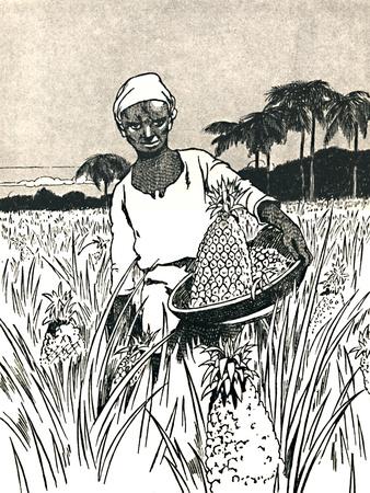 Giclee Print, , small