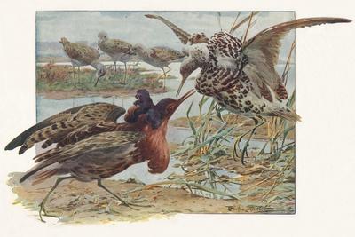 Giclee Print, , small