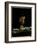 Portrait of Lev Tolstoy (1828-1910)-Nikolai Nikolajevitch Gay-Framed Giclee Print