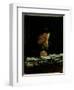 Portrait of Lev Tolstoy (1828-1910)-Nikolai Nikolajevitch Gay-Framed Giclee Print