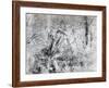 Wall Drawing of Two Figures, c.1530-Michelangelo Buonarroti-Framed Giclee Print