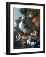 Waterfowl in a Classical Landscape, 17th Century-Melchior de Hondecoeter-Framed Giclee Print