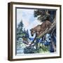 Puma on the Prowl, 1963-G. W Backhouse-Framed Giclee Print