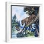 Puma on the Prowl, 1963-G. W Backhouse-Framed Giclee Print